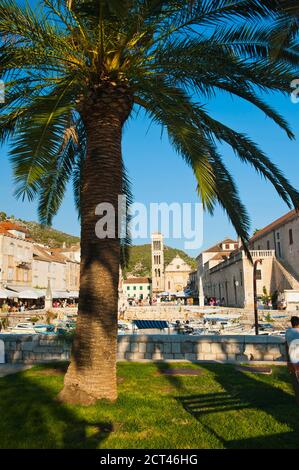 Photo de la cathédrale St Stephens sur la place St Stephens, centre-ville de Hvar, île de Hvar, Dalmatie, Croatie Banque D'Images