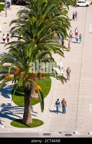 Touristes marchant le long du front de mer de Trogir sous les palmiers, Trogir, côte dalmate, Croatie, Europe Banque D'Images