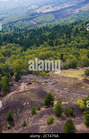 Volcan de l'Etna, promenade touristique dans une forêt sur un vieux flux de lave, Sicile, site du patrimoine mondial de l'UNESCO, Italie, Europe Banque D'Images