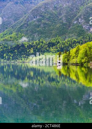 Réflexions du lac Bohinj, Parc national de Triglav, Alpes juliennes, Slovénie, Europe Banque D'Images