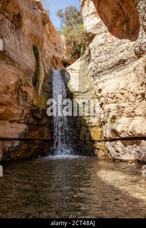 Parc national d'Ein Gedi. La cascade cachée de Wadi Arugot [ruisseau Arugot]. Le ruisseau Arugot est l'un des deux seuls cours d'eau au centre de la Jud Banque D'Images