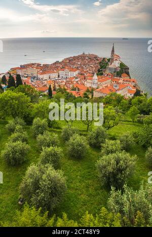 Piran et la mer Adriatique sur la côte méditerranéenne, vue depuis les remparts de la ville de Piran, Istrie slovène, Slovénie, Europe Banque D'Images