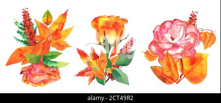 Un ensemble de bouquets d'automne, aquarelle arrangements floraux d'automne pour cartes de voeux, affiches, ou invitations de mariage, isolé sur blanc, roses Banque D'Images