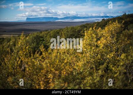 Vue du parc national de Skaftafell sur la promenade à Svartifoss (Black Waterfall), région sud de l'Islande (Sudurland), Europe, arrière-plan avec espace de copie Banque D'Images