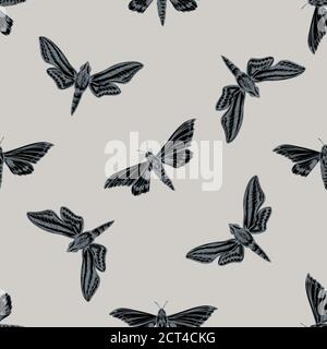 Motif sans couture avec papillon ambulanyx stylisé dessiné à la main, bagués en blanc chasseur hawkmoth Illustration de Vecteur