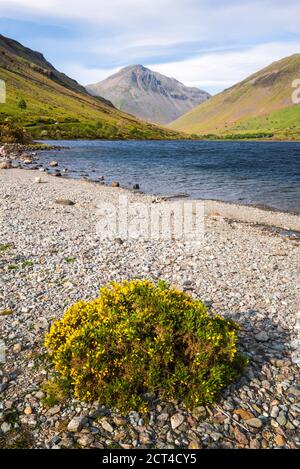 Wastwater (Wast Water), un lac dans la vallée de Wasdale, paysage de la région des montagnes et des lacs, Cumbria, Angleterre, Royaume-Uni, Europe Banque D'Images