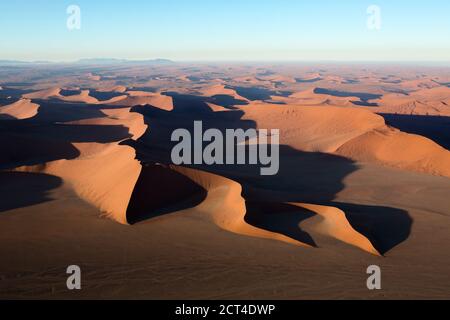 Dunes de sable rouge sous la lumière du matin à Sossusvlei, Namibie. Banque D'Images