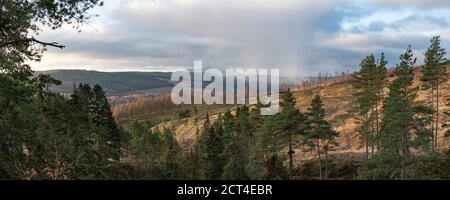 Paysages sur les chutes de Bruar Walk, Blair Atholl, Perthshire, Highlands of Scotland, Royaume-Uni, Europe Banque D'Images