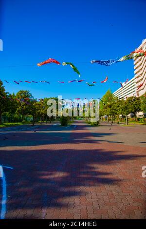 Carpe streamer dans le parc de Tokyo ensoleillé en journée Banque D'Images