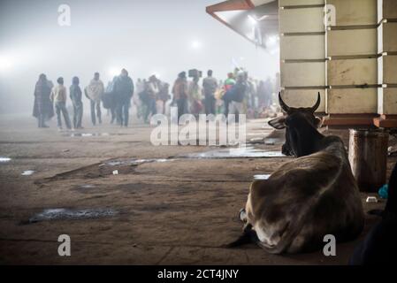 Brumeux matin à la gare de Varanasi, Uttar Pradesh, Inde Banque D'Images