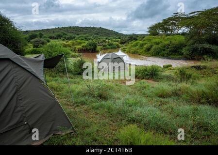 Safari à dos de chameau au Sosian Ranch, comté de Laikipia, Kenya Banque D'Images