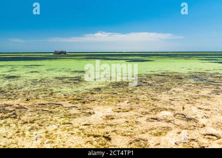 Plage de la baie de Watamu et eaux turquoise de l'océan Indien, Watamu, comté de Kilifi, Kenya Banque D'Images