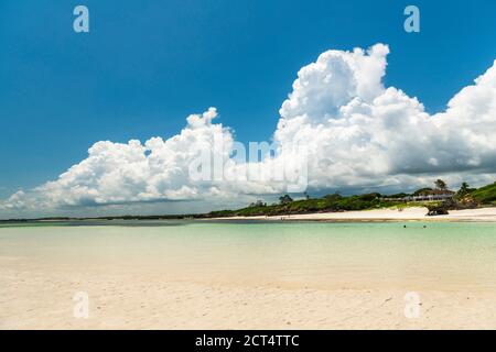 Plage de la baie de Watamu, Watamu, comté de Kilifi, Kenya Banque D'Images