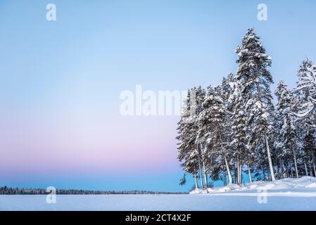 La neige gelée couvrait le lac dans le paysage d'hiver en Laponie Au coucher du soleil à l'intérieur du cercle polaire arctique en Finlande Banque D'Images