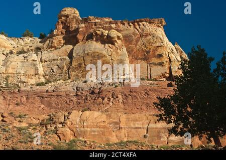 Rochers au terrain de camping de Calf Creek, Grand Staircase Escalante National Monument, plateau du Colorado, Utah, États-Unis Banque D'Images