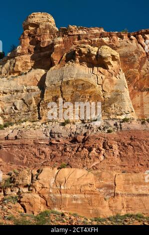 Rochers au terrain de camping de Calf Creek, Grand Staircase Escalante National Monument, plateau du Colorado, Utah, États-Unis Banque D'Images