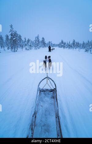 Aventure en traîneau à chiens Husky en vacances sur une glace gelée La neige couvrait le lac en hiver dans le paysage de Laponie dans Une forêt en Finlande Banque D'Images