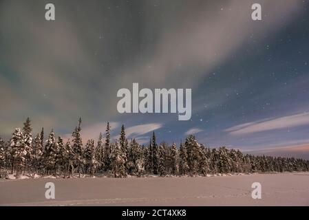 Paysage de Laponie la nuit sous les étoiles dans le paysage gelé d'hiver, Finlande Banque D'Images