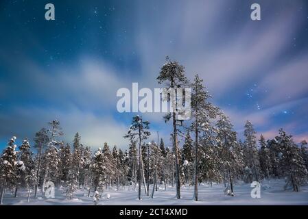 Paysage de Laponie la nuit sous les étoiles dans le paysage gelé d'hiver, Finlande Banque D'Images