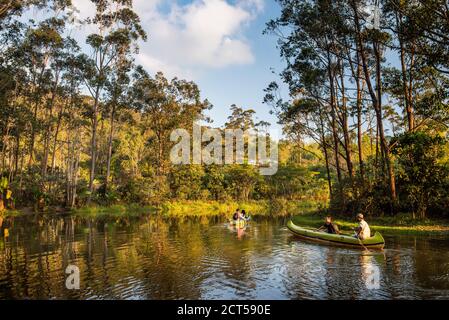 Touristes en vacances à Madagascar, dans un canoë dans la forêt tropicale hte aller le long d'une rivière pour voir la faune Banque D'Images