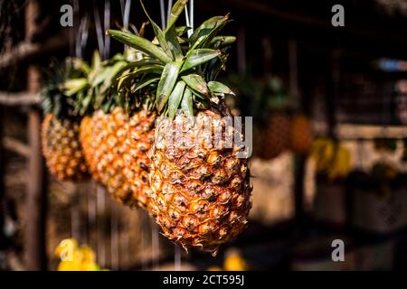 Ananas à vendre, Andasibe, Madagascar Banque D'Images