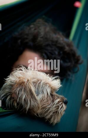 photo détaillée du visage du chien reposant sur un hamac Banque D'Images