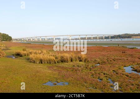 La végétation du marais salé sur la boue de l'estran a exposé une vue à marée basse de la rivière et du pont Orwell, Ipswich, Suffolk, Angleterre, Royaume-Uni Banque D'Images
