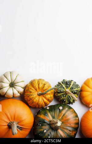 Cadre de plusieurs citrouilles colorées isolées sur fond blanc , concept Halloween , espace de copie pour le texte Banque D'Images