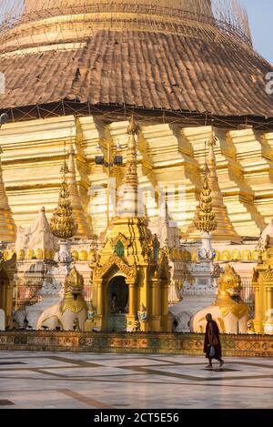 Moine bouddhiste à la Pagode Shwedagon (ou Pagode dorée), Yangon (Rangoon), Myanmar (Birmanie) Banque D'Images