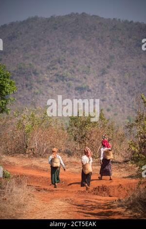 Tribu des collines PA-O à la campagne entre le lac Inle et Kalaw, État Shan, Myanmar (Birmanie) Banque D'Images