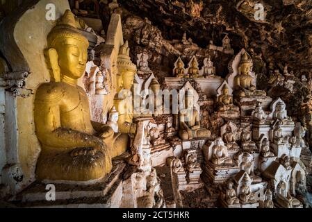 Statues de Bouddha dans une grotte à Pindaya, État de Shan, Myanmar (Birmanie) Banque D'Images