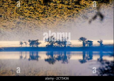 Misty Dawn Reflections on a Calm Lake Moke, Queenstown, South Island, Nouvelle-Zélande Banque D'Images