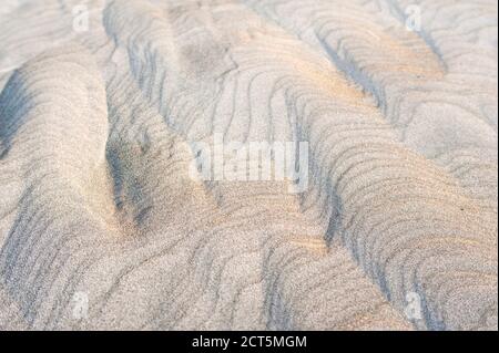 Motifs de sable à Wharariki Beach, Golden Bay, South Island, Nouvelle-Zélande Banque D'Images