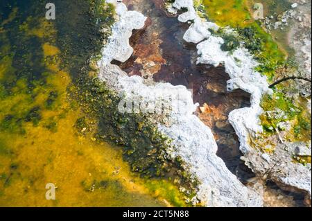 Hot Stream on the Rainbow Terrace à Orakei Korako Geyserland, The Hidden Valley, North Island, Nouvelle-Zélande Banque D'Images