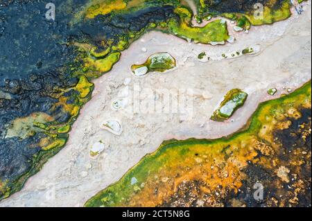 Gros plan photo de l'activité géothermique colorée au parc thermal d'Orakei Korako, dans la vallée cachée, Île du Nord, Nouvelle-Zélande Banque D'Images