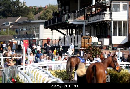 Les Racegoers regardent les chevaux dans le défilé à l'hippodrome de Warwick. Banque D'Images