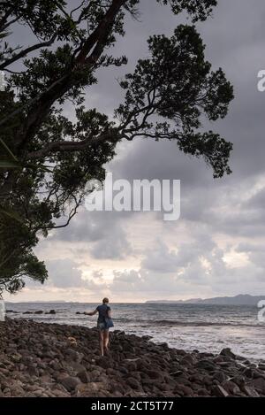 Marchez jusqu'à la plage de New Chums, la péninsule de Coromandel, l'île du Nord de la Nouvelle-Zélande Banque D'Images