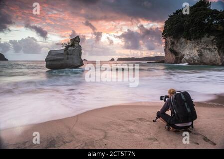 Photographe prenant une photo de Cathedral Cove à Sunrise, péninsule de Coromandel, Nouvelle-Zélande Île du Nord Banque D'Images