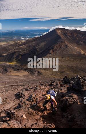 Ascension au sommet du volcan du mont Ngauruhoe, une montée supplémentaire sur le Tongariro Alpine Crossing, parc national de Tongariro, Île du Nord, Nouvelle-Zélande Banque D'Images