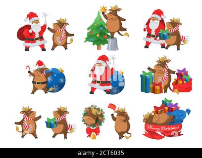 Joyeux Père Noël et mignon ox, chinois nouvel an 2021 signe. Symboles Joyeux Noël, illustration vectorielle isolée plate. Illustration de Vecteur