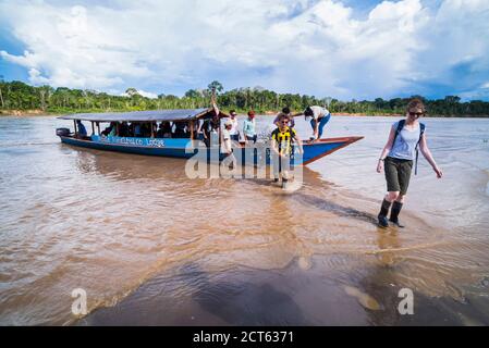 Excursion en bateau sur la rivière, Réserve nationale de Tambopata, province de Tambopata, jungle amazonienne du Pérou, Amérique du Sud Banque D'Images