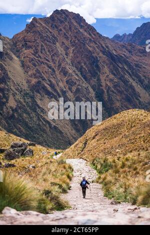 Randonnée depuis Dead Womans Pass 5,200m sommet, Inca Trail Trek jour 2, région de Cusco, Pérou, Amérique du Sud Banque D'Images