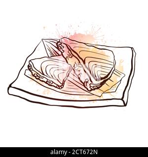 Illustration du contour d'un aliment japonais avec du riz et du saumon sur une assiette avec des éclaboussures d'aquarelle rose. Illustration vectorielle pour le menu, les couleurs, les recettes et Illustration de Vecteur