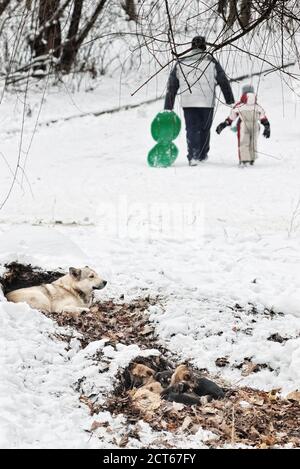 Chien sans-abri avec petits chiots se réchauffent dans les feuilles dedans hiver avec des personnages de père et de fils flous Banque D'Images