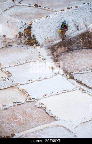 Ouvrier à Salt pans (Salinas de Maras), Maras, près de Cusco (Cuzco), Pérou, Amérique du Sud Banque D'Images