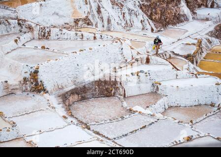 Ouvrier à Salt pans (Salinas de Maras), Maras, près de Cusco (Cuzco), Pérou, Amérique du Sud Banque D'Images