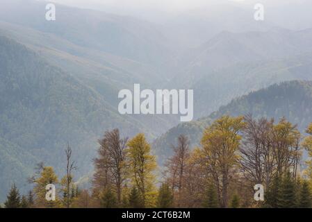 Couleurs d'automne dans les Carpathian Mountains, Parang Mountains, Ranca, région d'Oltenia, Roumanie, arrière-plan avec espace de copie Banque D'Images