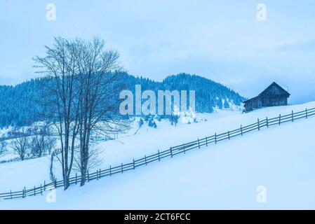 Paysage d'hiver près de Bran dans les Carpathian Mountains, Transylvanie, Roumanie Banque D'Images