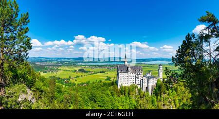 Schloss Neuschwanstein Bei Hohenschwangau, Romantische Strasse, Ostallgäu, Bayern, Deutschland, Europa Banque D'Images