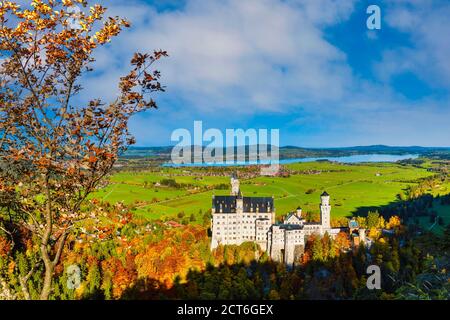 Schloss Neuschwanstein Bei Hohenschwangau, Romantische Strasse, Ostallgäu, Bayern, Deutschland, Europa Banque D'Images